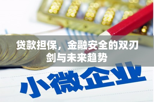 夏邑贷款担保，金融安全的双刃剑与未来趋势