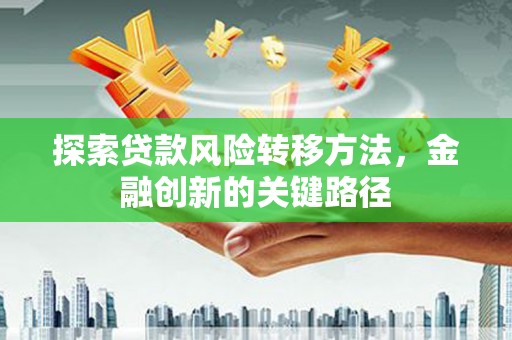 夏邑探索贷款风险转移方法，金融创新的关键路径