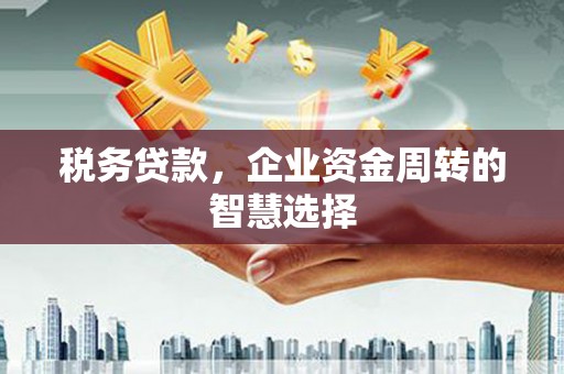 夏邑税务贷款，企业资金周转的智慧选择