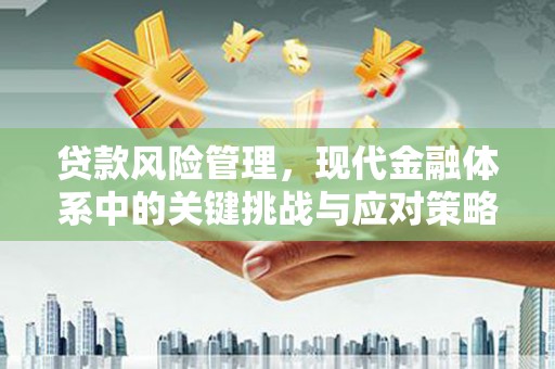 夏邑贷款风险管理，现代金融体系中的关键挑战与应对策略