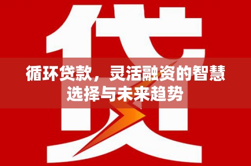 夏邑循环贷款，灵活融资的智慧选择与未来趋势