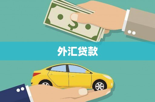 夏邑外汇贷款