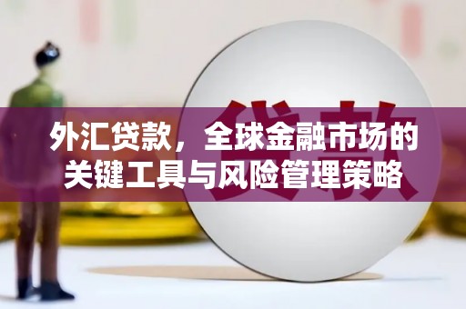 夏邑外汇贷款，全球金融市场的关键工具与风险管理策略