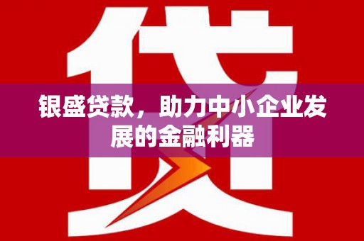 夏邑银盛贷款，助力中小企业发展的金融利器