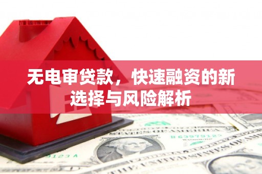 夏邑无电审贷款，快速融资的新选择与风险解析