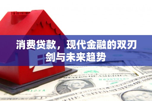 夏邑消费贷款，现代金融的双刃剑与未来趋势
