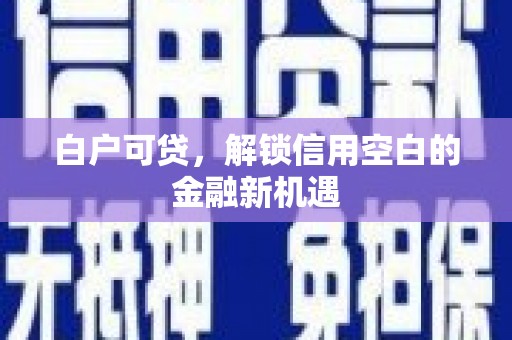 夏邑白户可贷，解锁信用空白的金融新机遇
