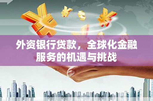 夏邑外资银行贷款，全球化金融服务的机遇与挑战