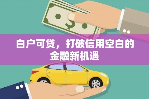 夏邑白户可贷，打破信用空白的金融新机遇