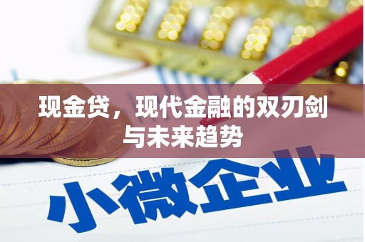 夏邑现金贷，现代金融的双刃剑与未来趋势