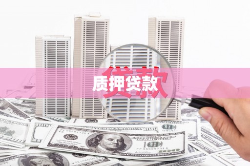 夏邑质押贷款