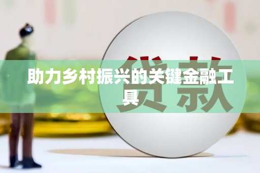夏邑助力乡村振兴的关键金融工具