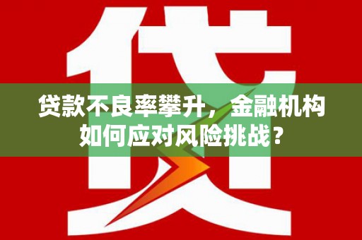 夏邑贷款不良率攀升，金融机构如何应对风险挑战？