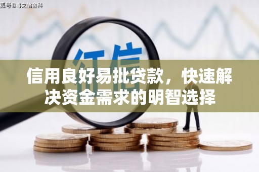 夏邑信用良好易批贷款，快速解决资金需求的明智选择