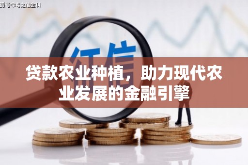 夏邑贷款农业种植，助力现代农业发展的金融引擎