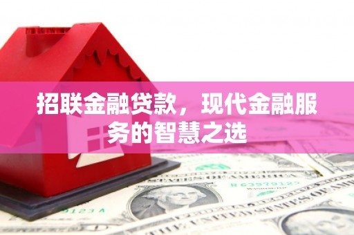 夏邑招联金融贷款，现代金融服务的智慧之选