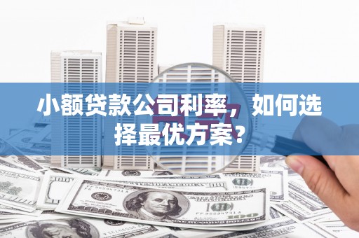 夏邑小额贷款公司利率，如何选择最优方案？
