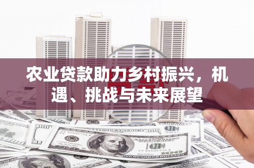 夏邑农业贷款助力乡村振兴，机遇、挑战与未来展望