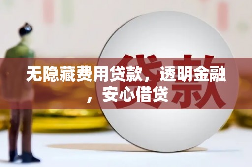 夏邑无隐藏费用贷款，透明金融，安心借贷