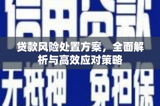 夏邑贷款风险处置方案，全面解析与高效应对策略