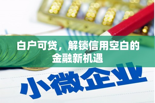 夏邑白户可贷，解锁信用空白的金融新机遇