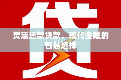 夏邑灵活还款贷款，现代金融的智慧选择