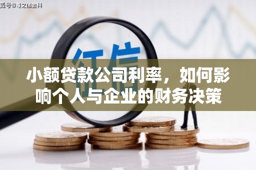 夏邑小额贷款公司利率，如何影响个人与企业的财务决策