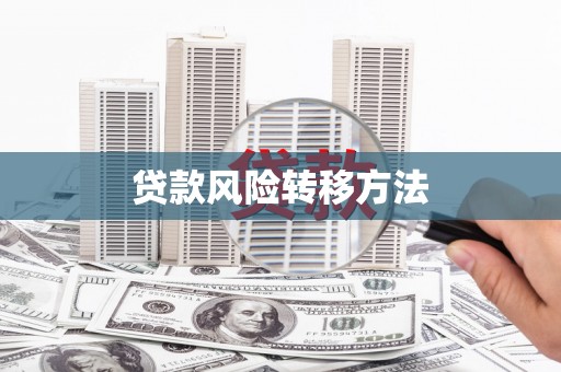 夏邑贷款风险转移方法
