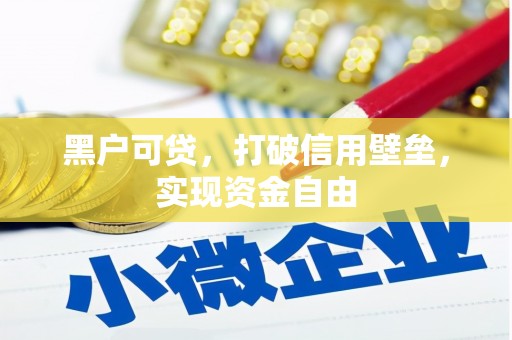 夏邑黑户可贷，打破信用壁垒，实现资金自由