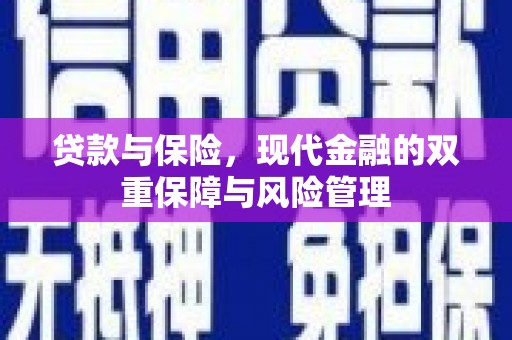 夏邑贷款与保险，现代金融的双重保障与风险管理