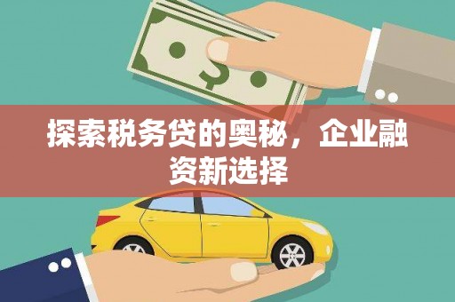 夏邑探索税务贷的奥秘，企业融资新选择