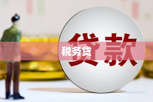 夏邑税务贷