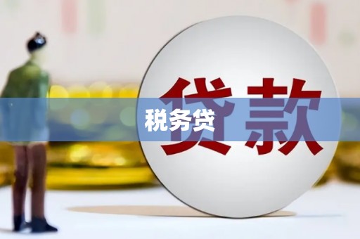 夏邑税务贷