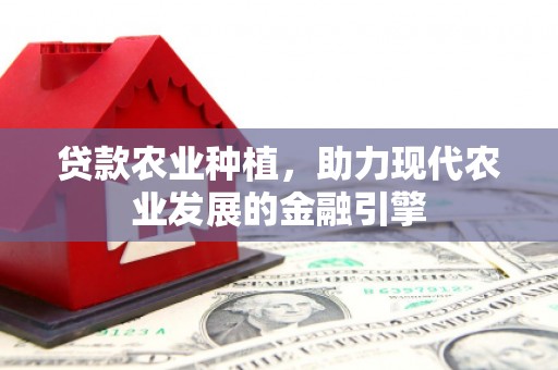 夏邑贷款农业种植，助力现代农业发展的金融引擎