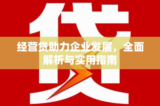 夏邑经营贷助力企业发展，全面解析与实用指南