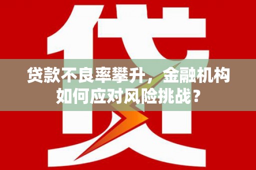 夏邑贷款不良率攀升，金融机构如何应对风险挑战？
