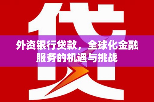 夏邑外资银行贷款，全球化金融服务的机遇与挑战