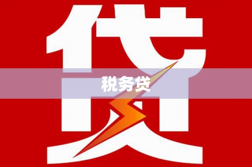 夏邑税务贷