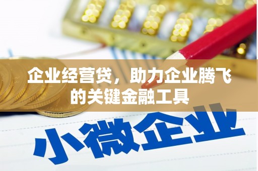 夏邑企业经营贷，助力企业腾飞的关键金融工具
