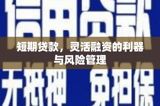 夏邑短期贷款，灵活融资的利器与风险管理