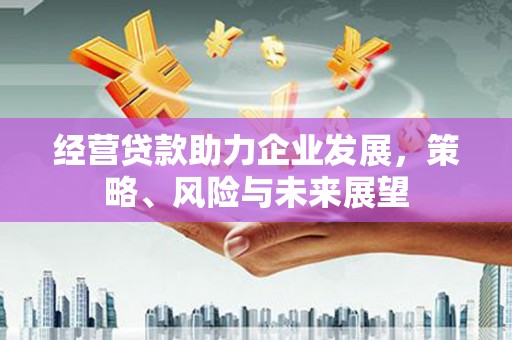 夏邑经营贷款助力企业发展，策略、风险与未来展望
