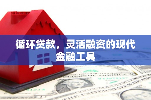 夏邑循环贷款，灵活融资的现代金融工具