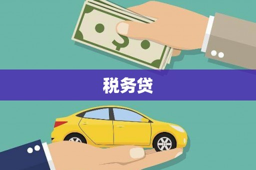 夏邑税务贷