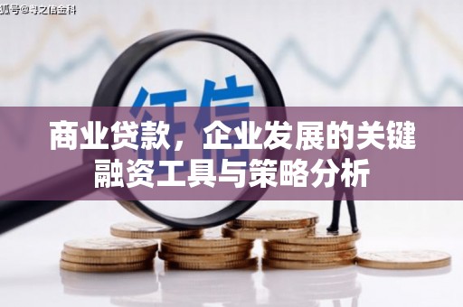 夏邑商业贷款，企业发展的关键融资工具与策略分析