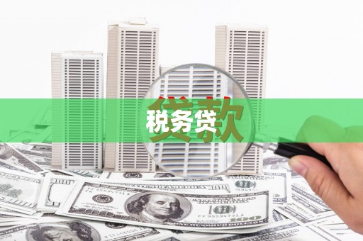 夏邑税务贷