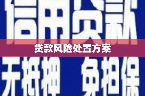 夏邑贷款风险处置方案