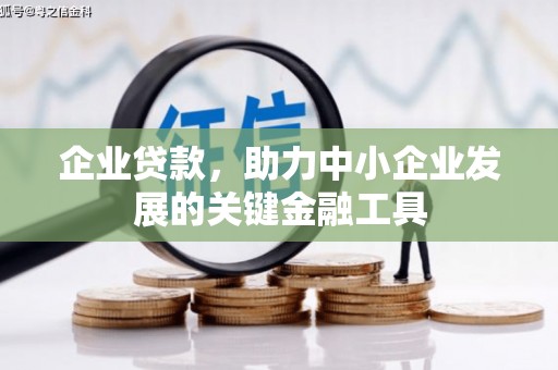 夏邑企业贷款，助力中小企业发展的关键金融工具