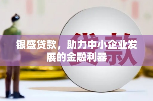 夏邑银盛贷款，助力中小企业发展的金融利器