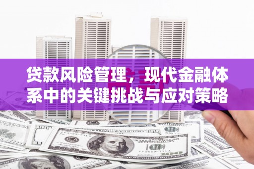 夏邑贷款风险管理，现代金融体系中的关键挑战与应对策略