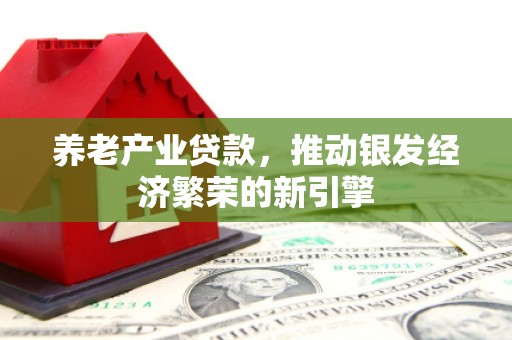 夏邑养老产业贷款，推动银发经济繁荣的新引擎